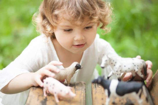 La place des figurines dans le jeu des jeunes enfants