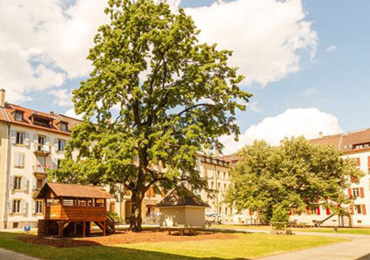 Beaux-Arts – Neuchâtel